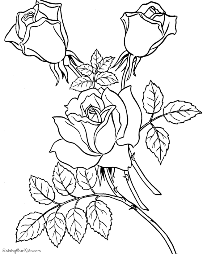 valentine roses coloring pages - photo #2